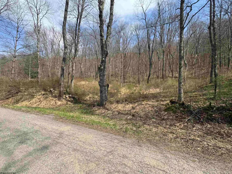 Lot 4 Jesse's Run Road, Fairview, WV 26570 - #2