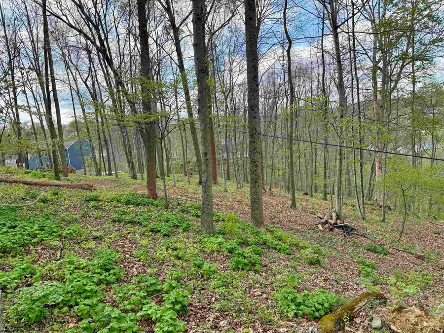 tbd Windsor Road, Bridgeport, WV 26330 - #2