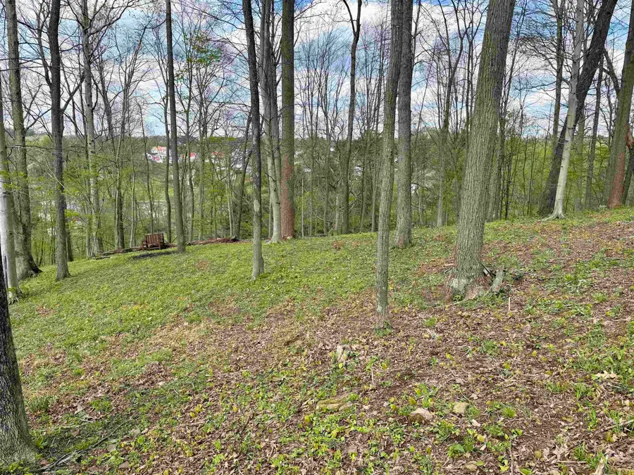 tbd Windsor Road, Bridgeport, WV 26330 - #3