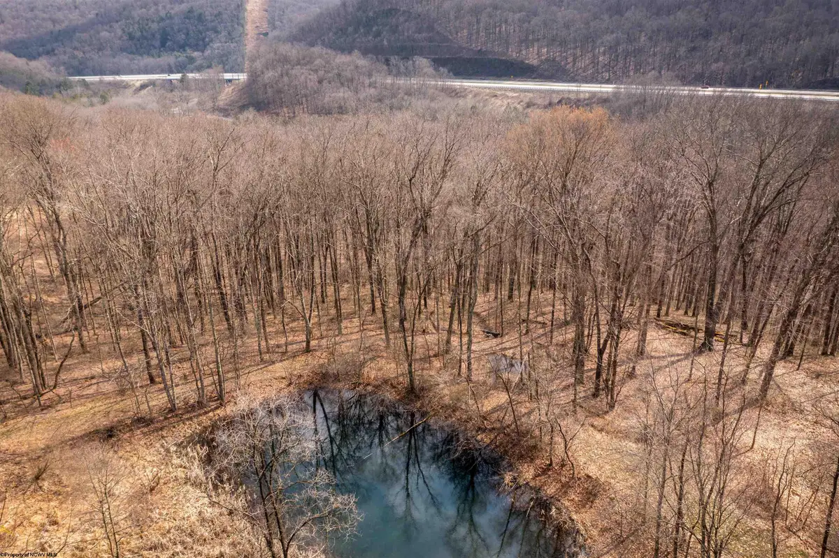 TBD Coopers Rock Drive, Bruceton Mills, WV 26525 - #1