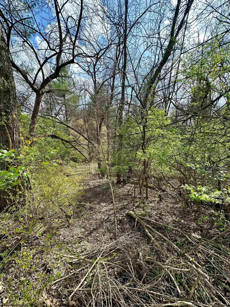 85 Monongahela Avenue, Westover, WV 26501 - #2