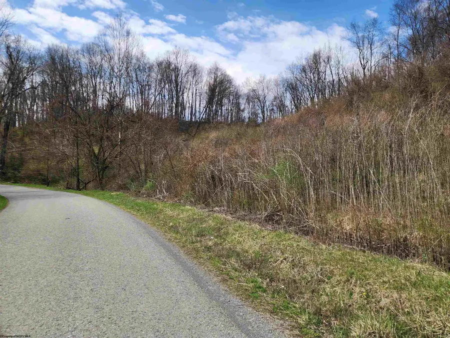 TBD Buffalo Creek Road, Lost Creek, WV 26385 - #2