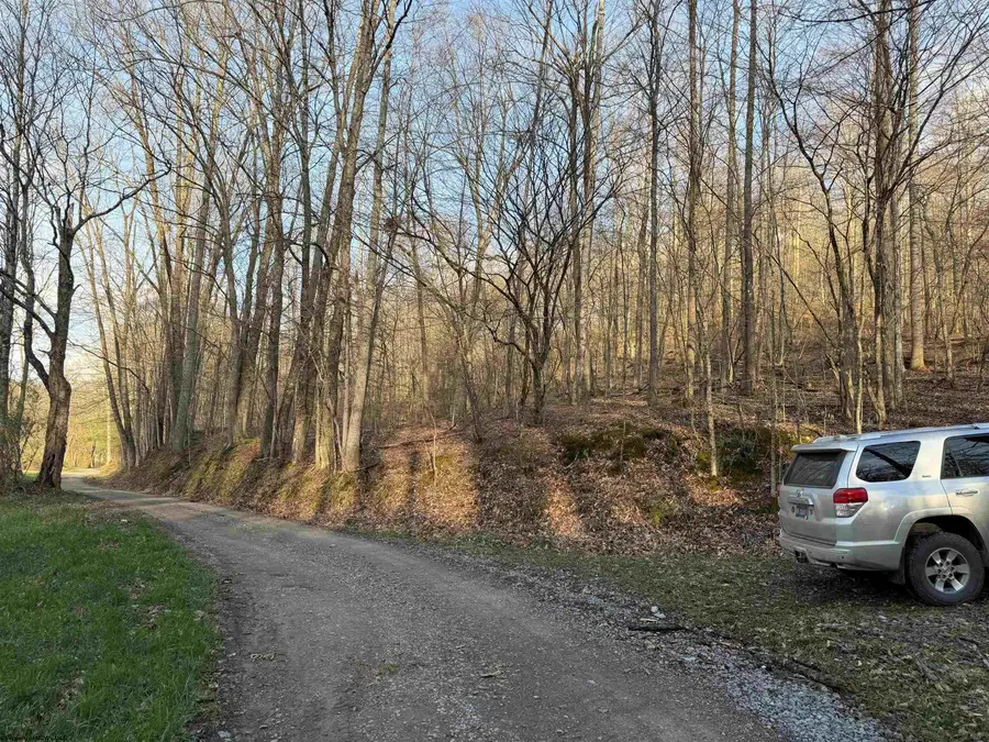 TBD Wash Run Road, Volga, WV 26238 - #3