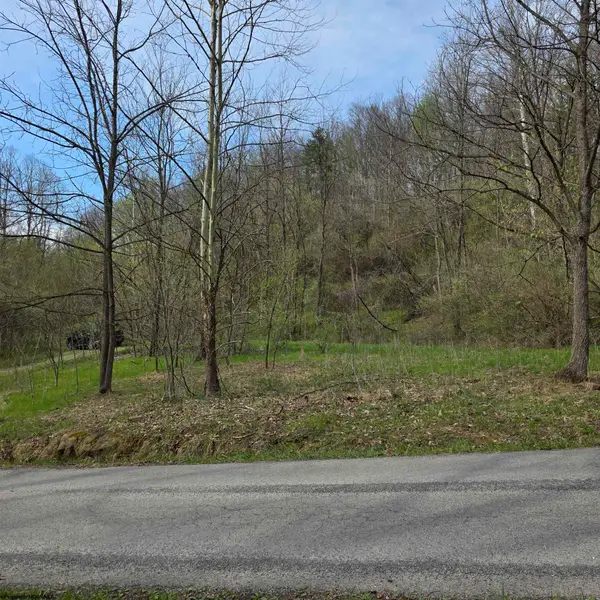 TBD Crooked Fork Road, Walkersville, WV 26447