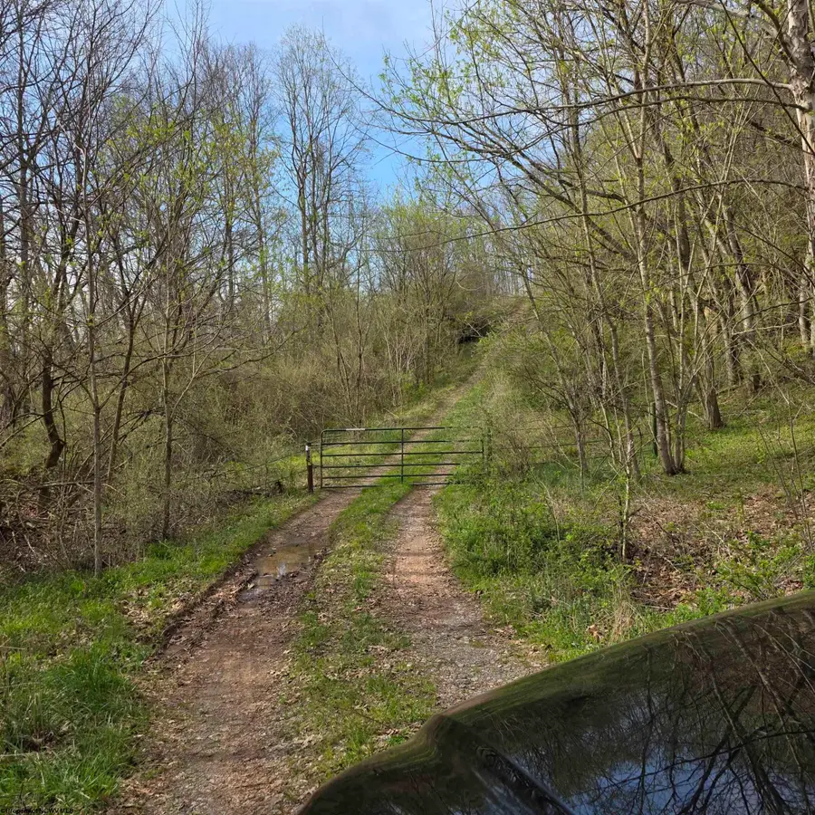 TBD Crooked Fork Road, Walkersville, WV 26447 - #2