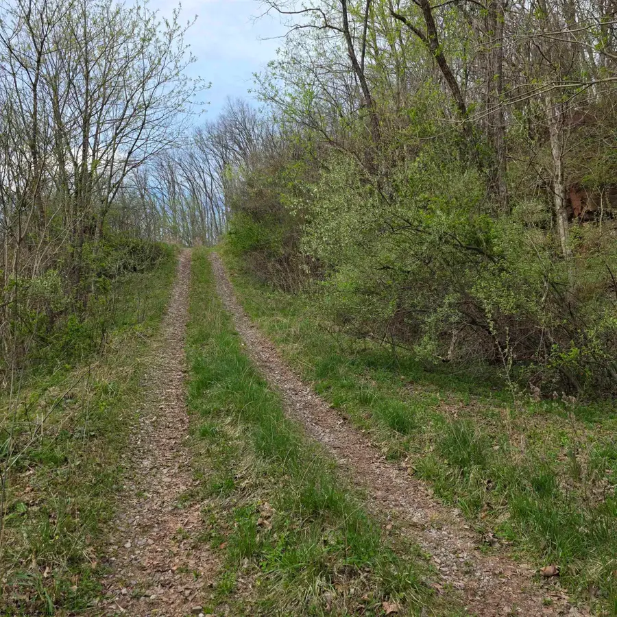TBD Crooked Fork Road, Walkersville, WV 26447 - #3