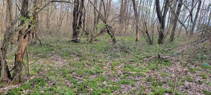 Lot 8 Brewer Road, Morgantown, WV 26508 - #3
