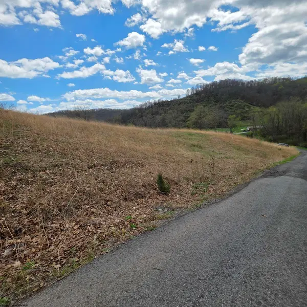 TBD Simpson Run Road, Weston, WV 26452