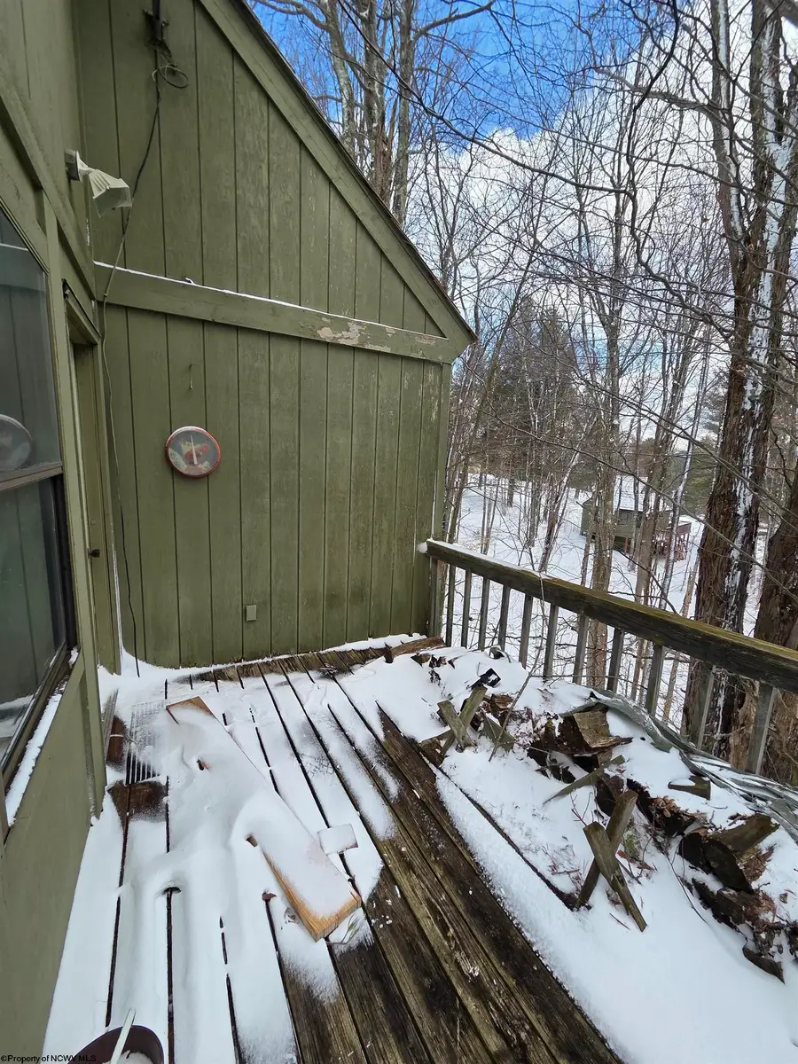 77 Wildflower Way, Davis, WV 26260 - #2