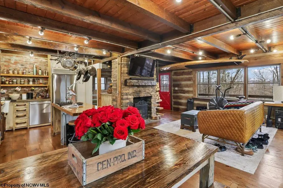 54 Cabin Mountain Road, Davis, WV 26260 - #3