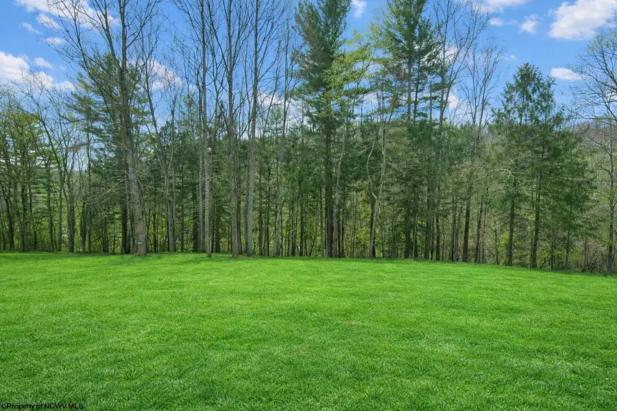 84 Thorne Drive, Rivesville, WV 26588 - #3