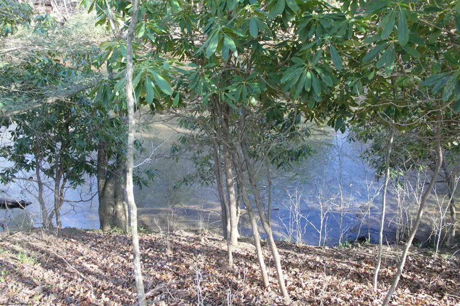 1625 Gauley River Road, Webster Springs, WV 26288 - #3