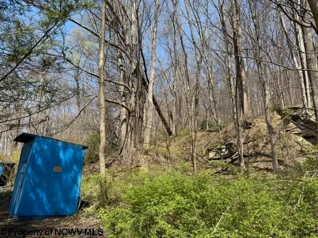 1011 S Main Street, Philippi, WV 26416 - #2