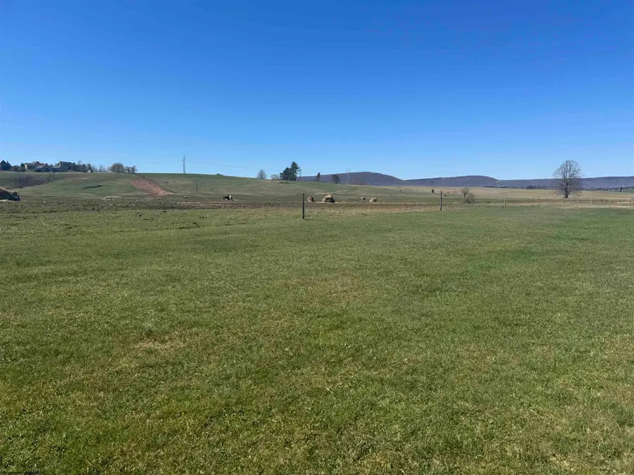 TBD Freeland Road, Davis, WV 26260 - #3