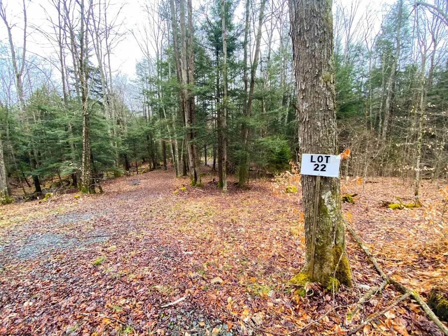 22 Glady Fork Acres, Glady, WV 26268 - #2