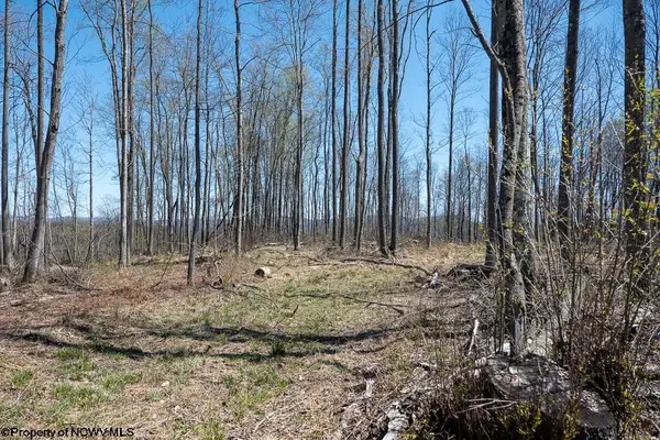 Lot 1 S  Preston Highway, Tunnelton, WV 26444