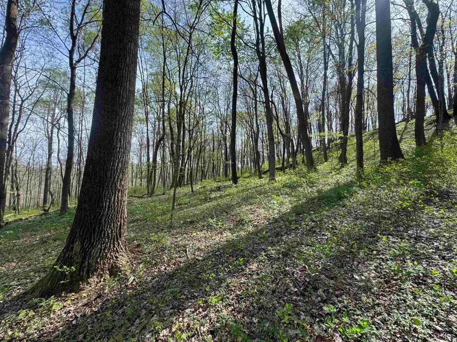 TBD Palmer Drive, Fairmont, WV 26554 - #3