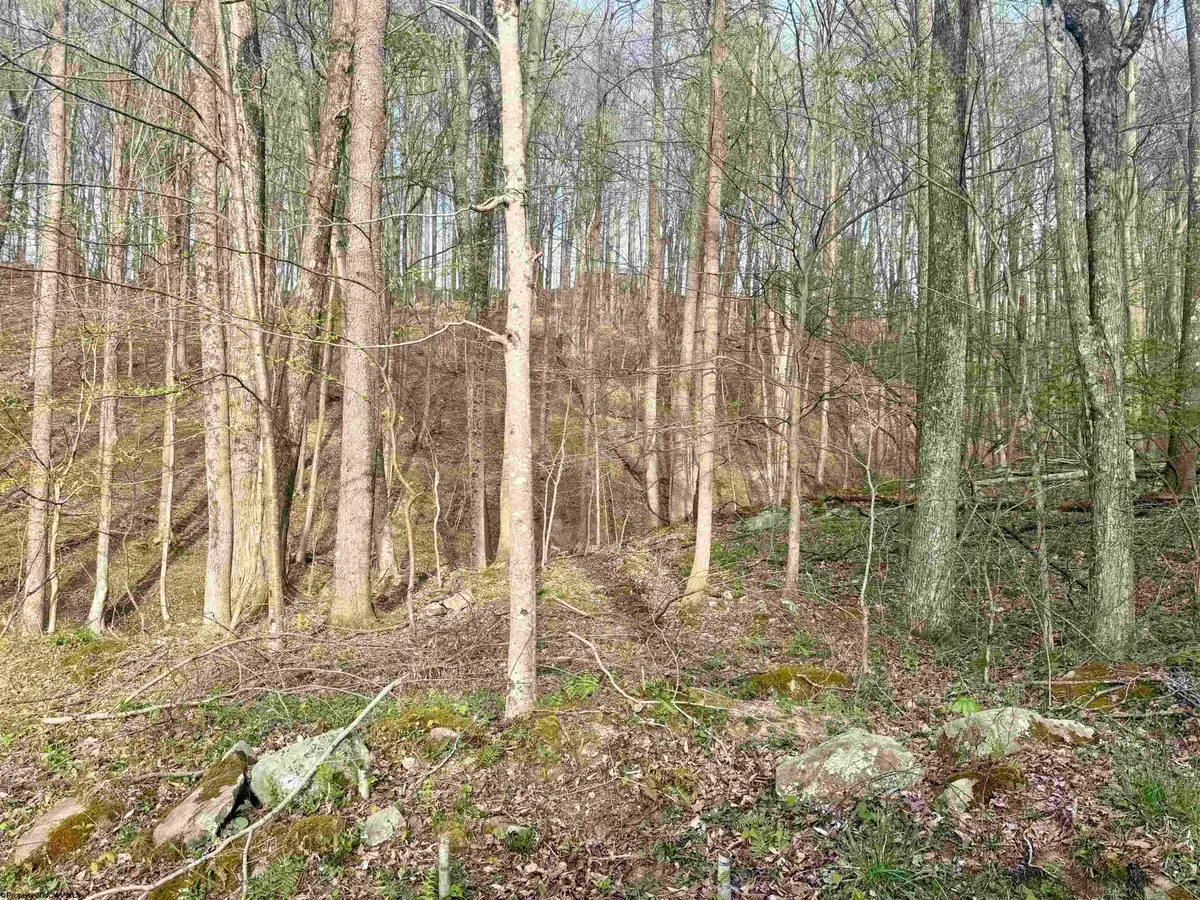Lot 23 & 23A Serene Drive, Grafton, WV 26354 - #1