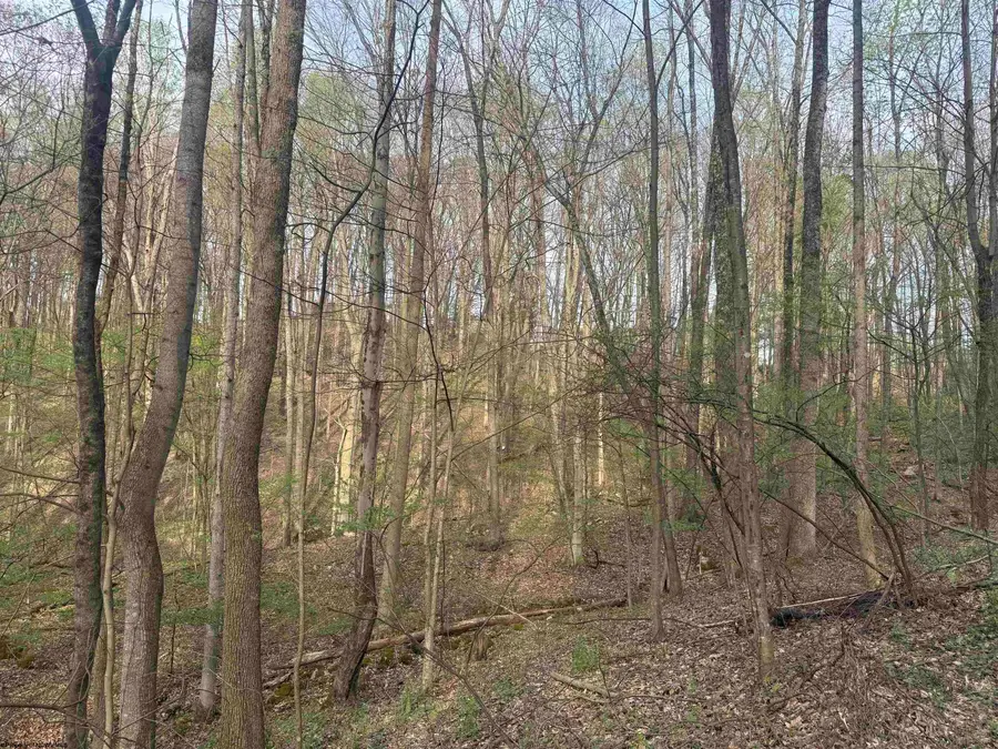 Lot 23 & 23A Serene Drive, Grafton, WV 26354 - #3