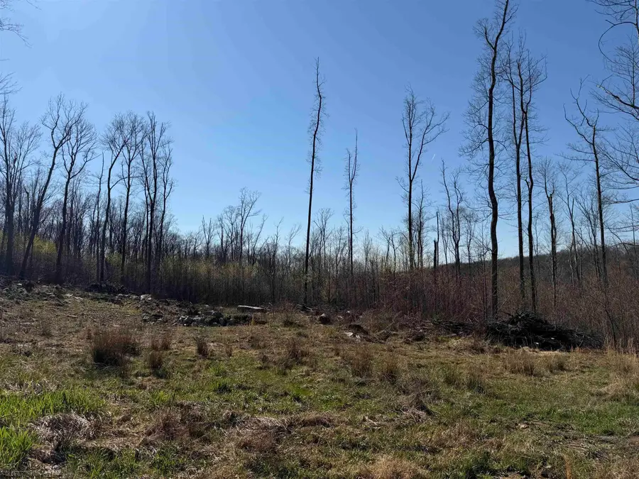 Lot 3 N Poplar Ridge, Bruceton Mills, WV 26525 - #3