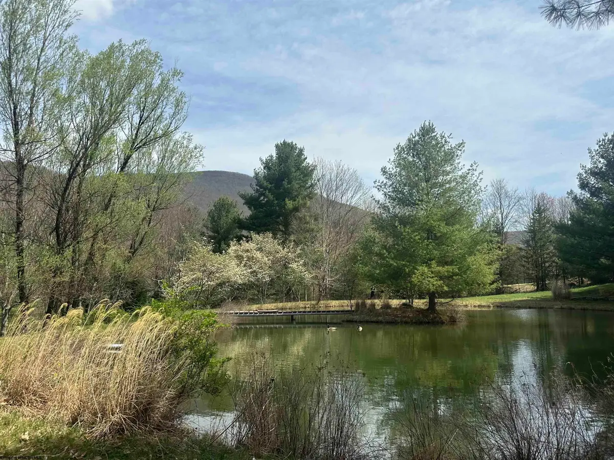Lot 2 Bonner Mountain Road, Dryfork, WV 26263 - #1