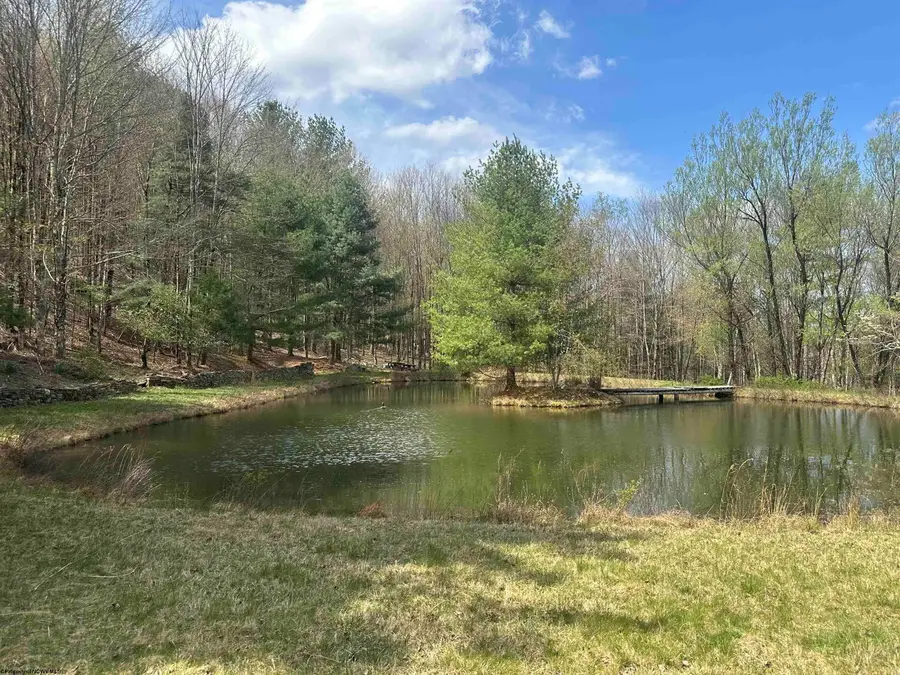 Lot 2 Bonner Mountain Road, Dryfork, WV 26263 - #2