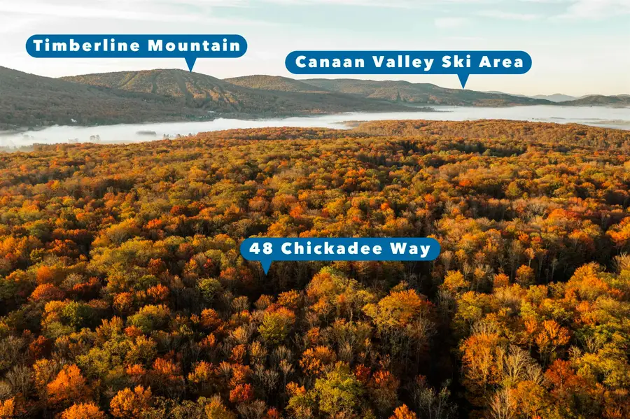 48 Chickadee Drive, Davis, WV 26260 - #2