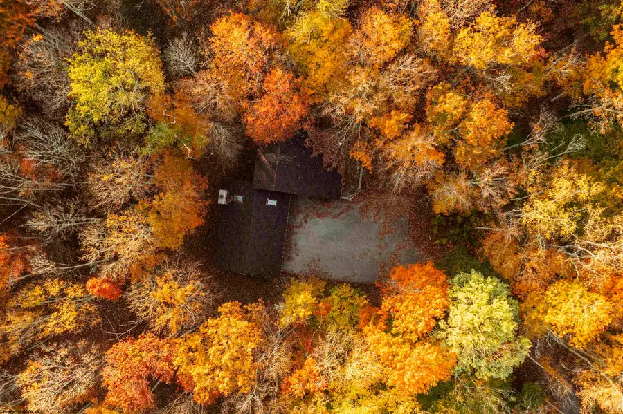 48 Chickadee Drive, Davis, WV 26260 - #3