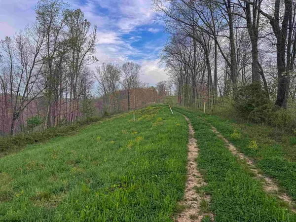 Lot 1 Low Gap Run Road, Littleton, WV 26581