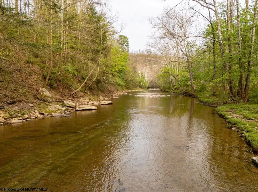 Lot 1 Low Gap Run Road, Littleton, WV 26581 - #2