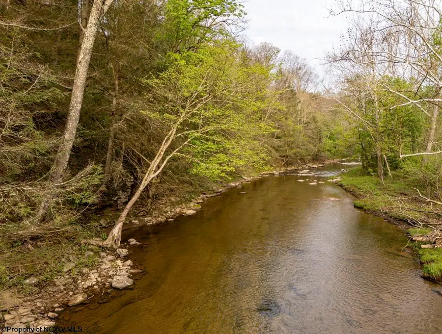 Lot 1 Low Gap Run Road, Littleton, WV 26581 - #3