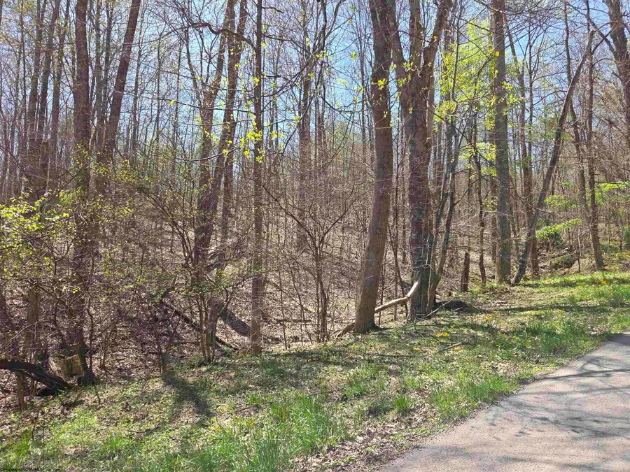 Lot 6 Deerbrook Estates, Belington, WV 26250 - #2
