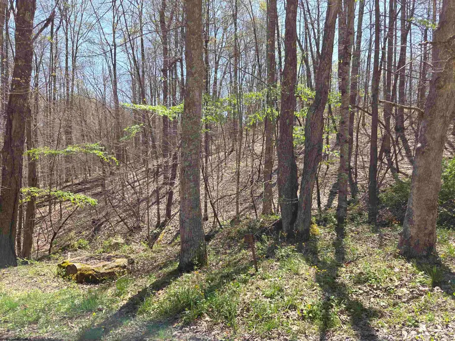Lot 6 Deerbrook Estates, Belington, WV 26250 - #3