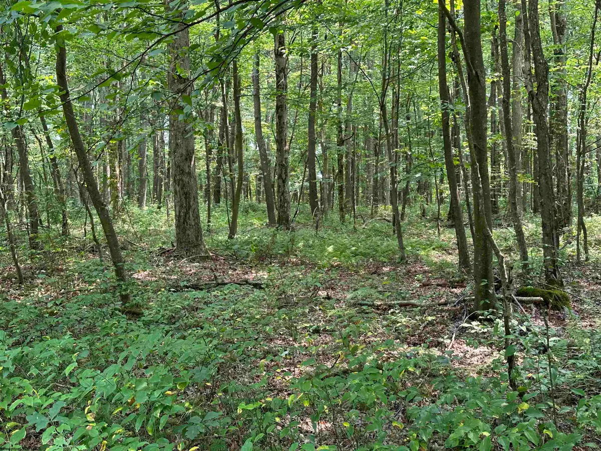 31 Oak Drive, Albright, WV 26519 - #1