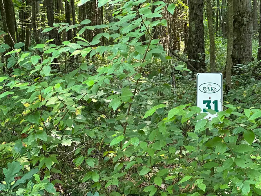 31 Oak Drive, Albright, WV 26519 - #2