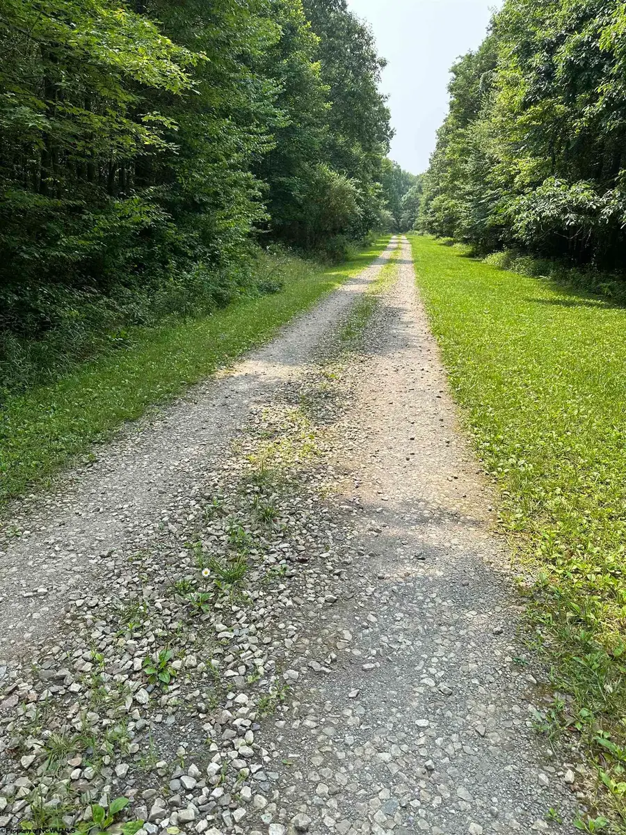 31 Oak Drive, Albright, WV 26519 - #3