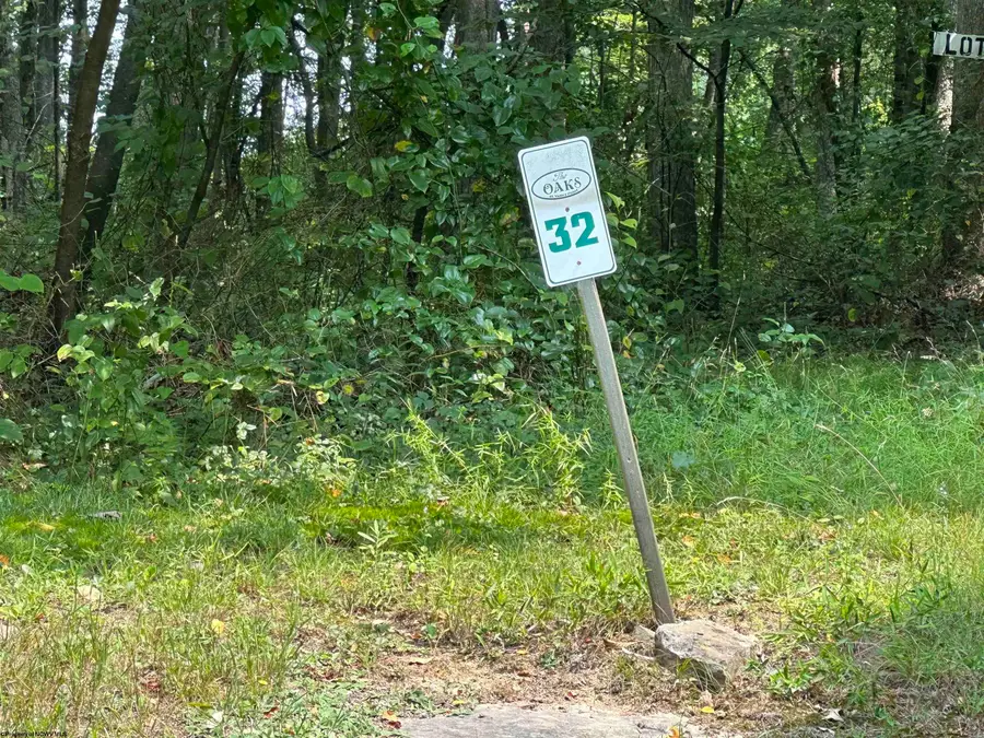 32 Oak Drive, Albright, WV 26519 - #2