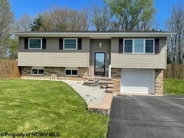 54 S Grove Avenue, Reedsville, WV 26547 - #1