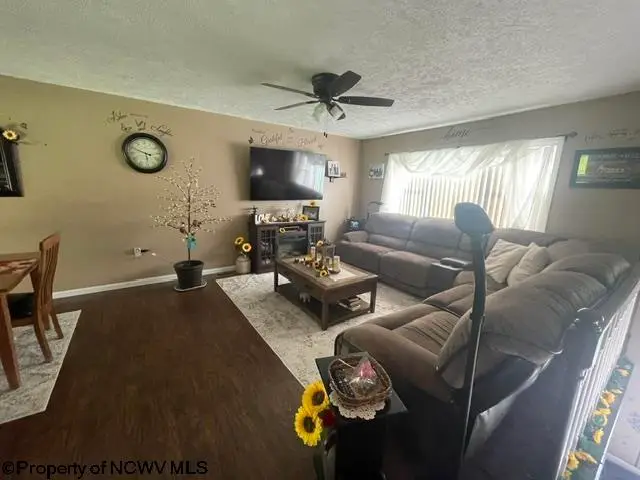 54 S Grove Avenue, Reedsville, WV 26547 - #2