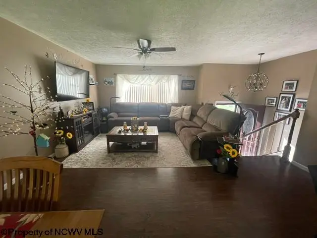 54 S Grove Avenue, Reedsville, WV 26547 - #3