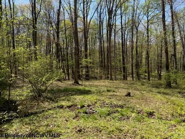 TBT Main Street, Montrose, WV 26283 - #3