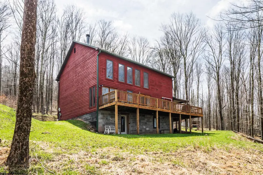 699 Ridge Road, Davis, WV 26260 - #2