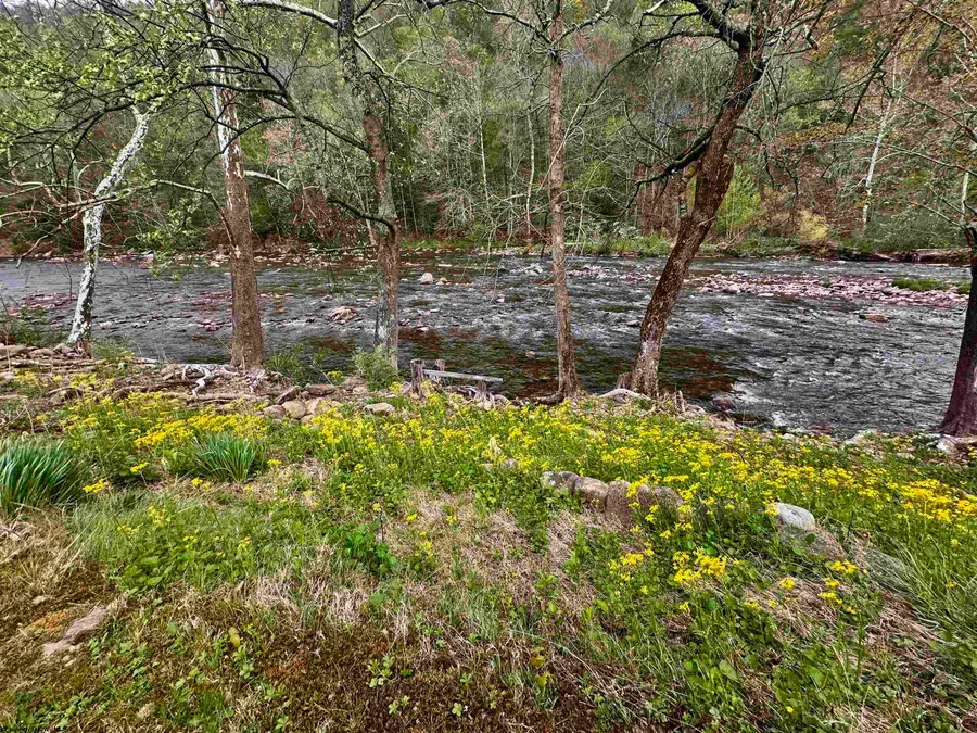 301 Elk River Road, Webster Springs, WV 26288 - #3