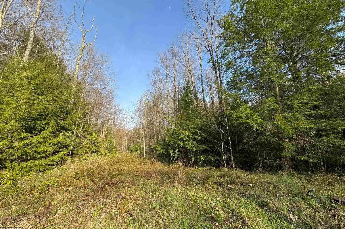 Lot 80 Gondola Court, Davis, WV 26260-0000 - #1