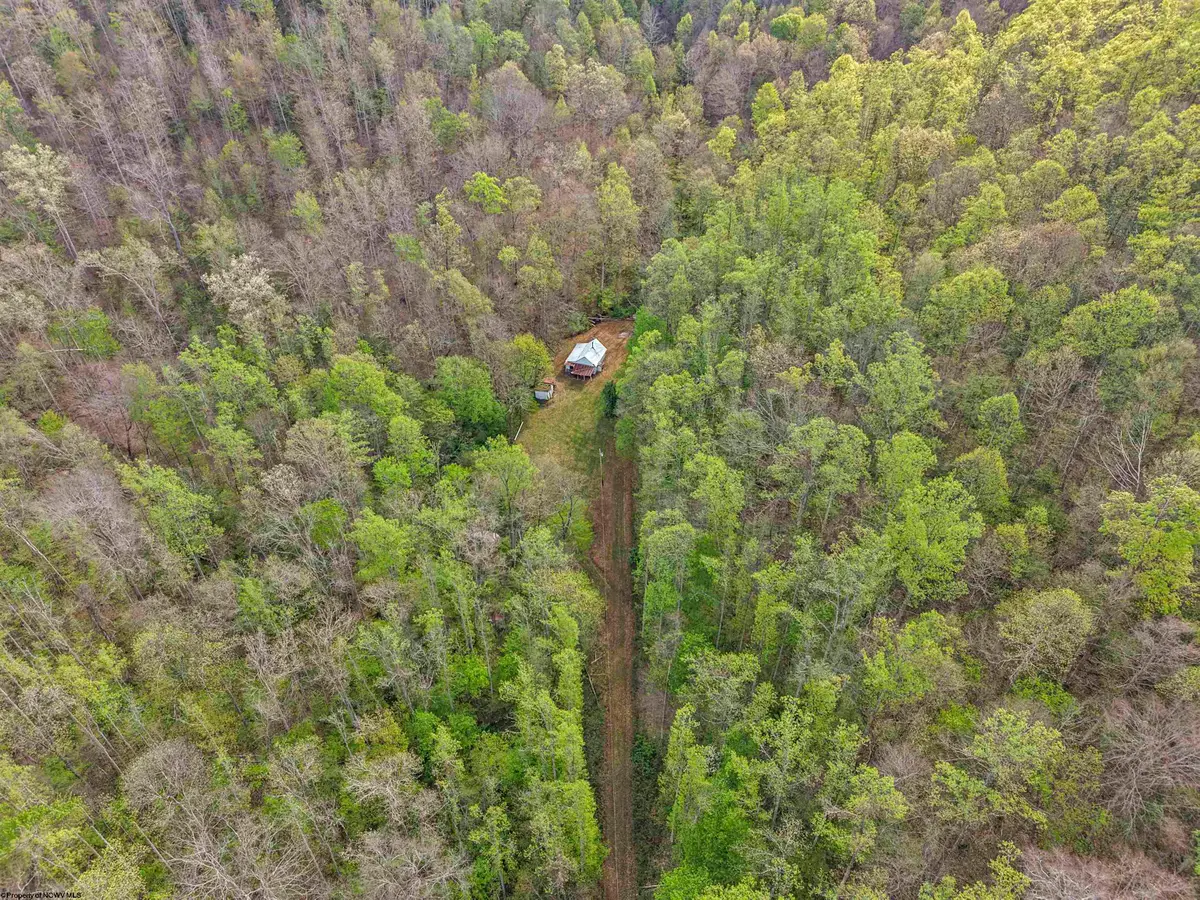 0 Flat Run Road, Ireland, WV 26376 - #1