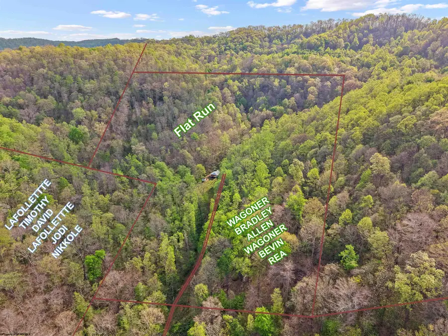 0 Flat Run Road, Ireland, WV 26376 - #2