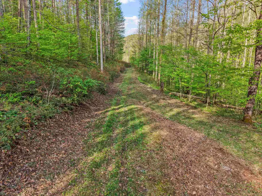 0 Flat Run Road, Ireland, WV 26376 - #3