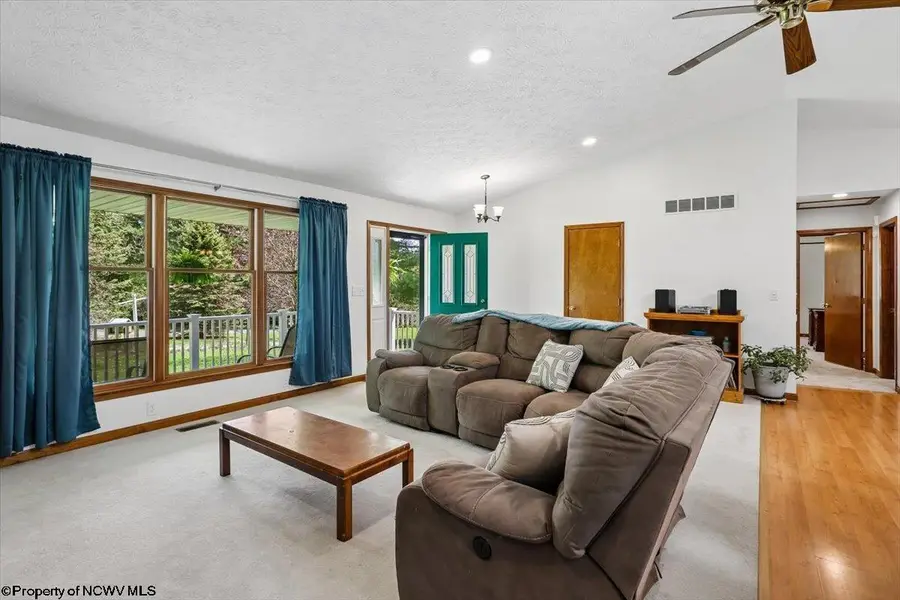107 Number 41 Mine Road, Thomas, WV 26292 - #3