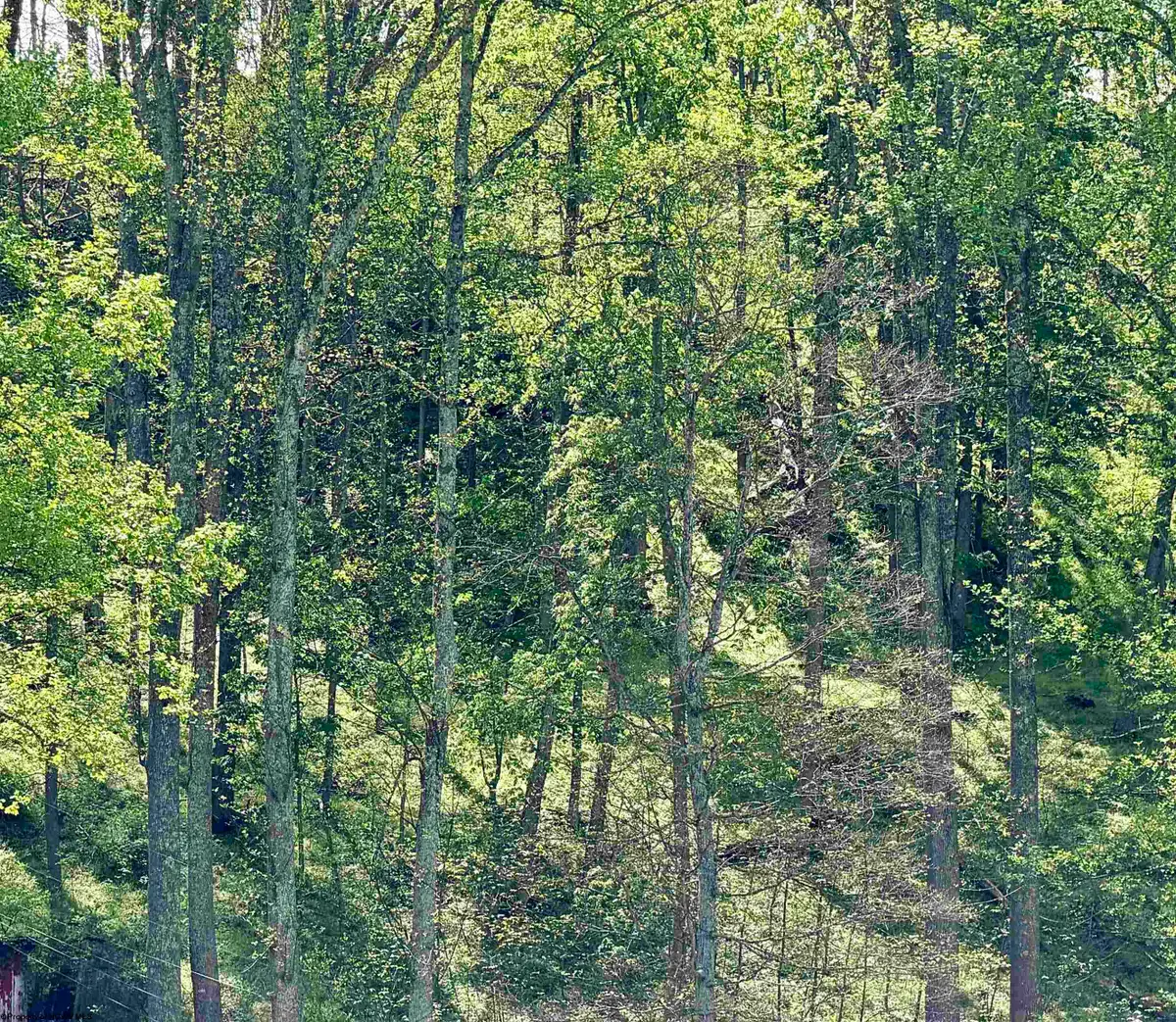 Lot 99 Crystal Lake, West Union, WV 26456 - #1