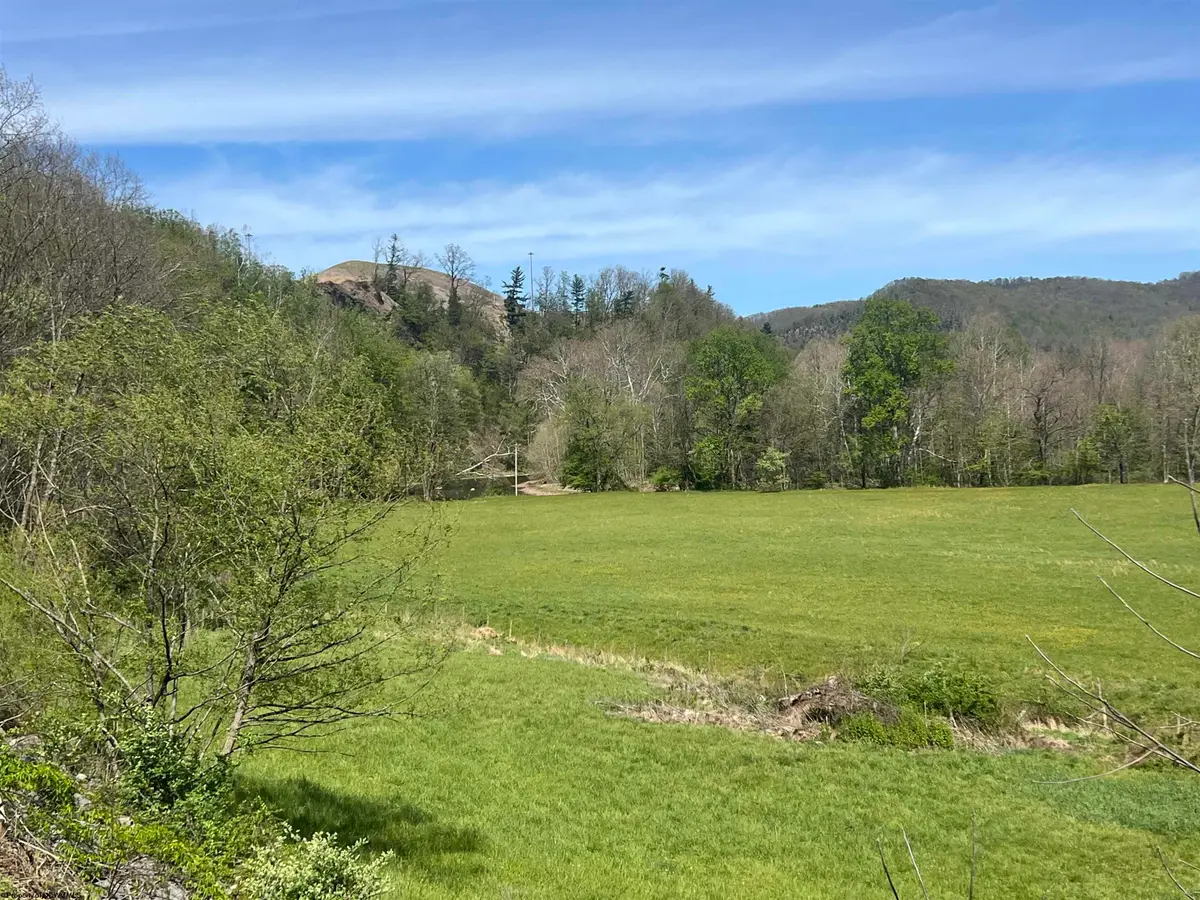 TBD Cheat Valley Highway, Parsons, WV 26287 - #1